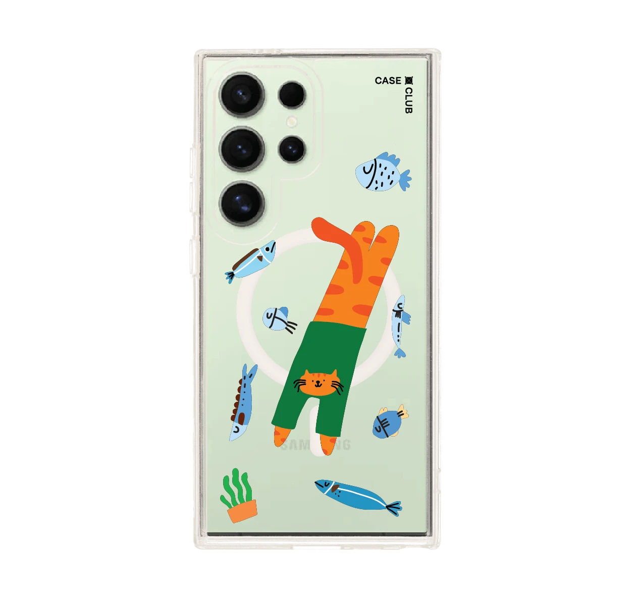 orange cat with green shirt